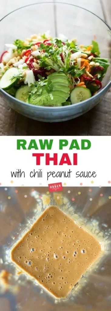 Vegan Raw Pad Thai Pin for Pinterest