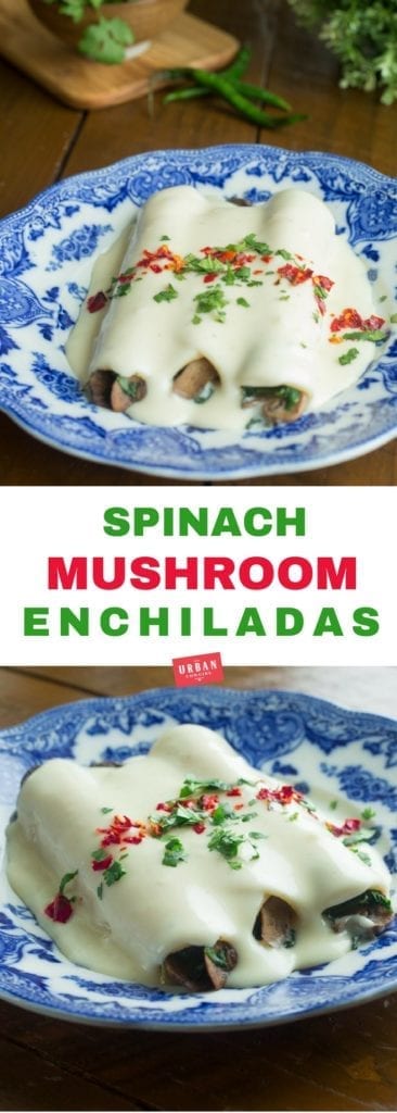  Enchiladas aux Épinards et Champignons avec Sauce à la Crème 