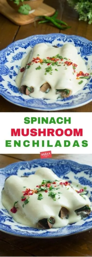 Spinach and Mushroom Enchiladas with Cream Sauce 