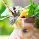 Fizzy Fishbowls filled with herbs