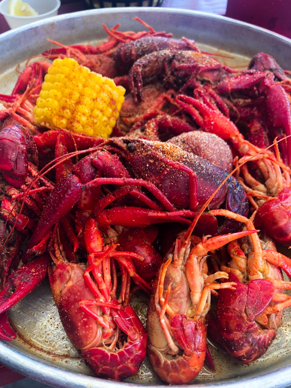 Bright red crawfish and corn boiled and presented on a tray at a crawfish boil. 