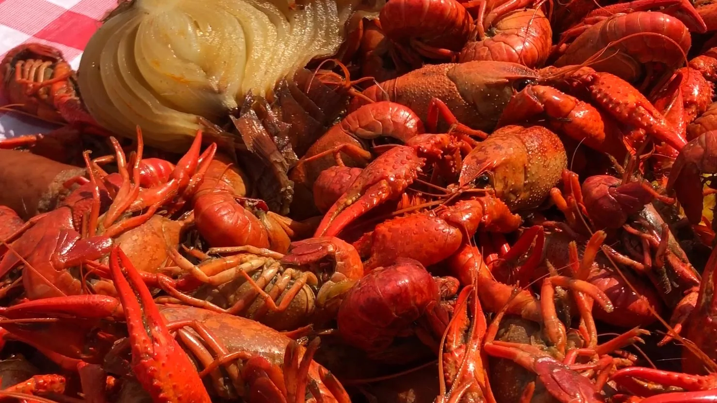 A red picnic table full of boiled, bright red crawfish. 