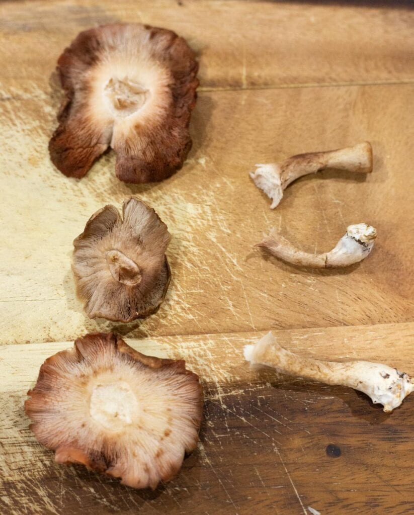 Shiitake mushrooms with their stems removed at the base 