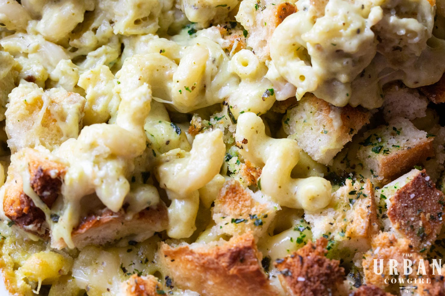 Close up of Poblano Mac and Cheese Recipe