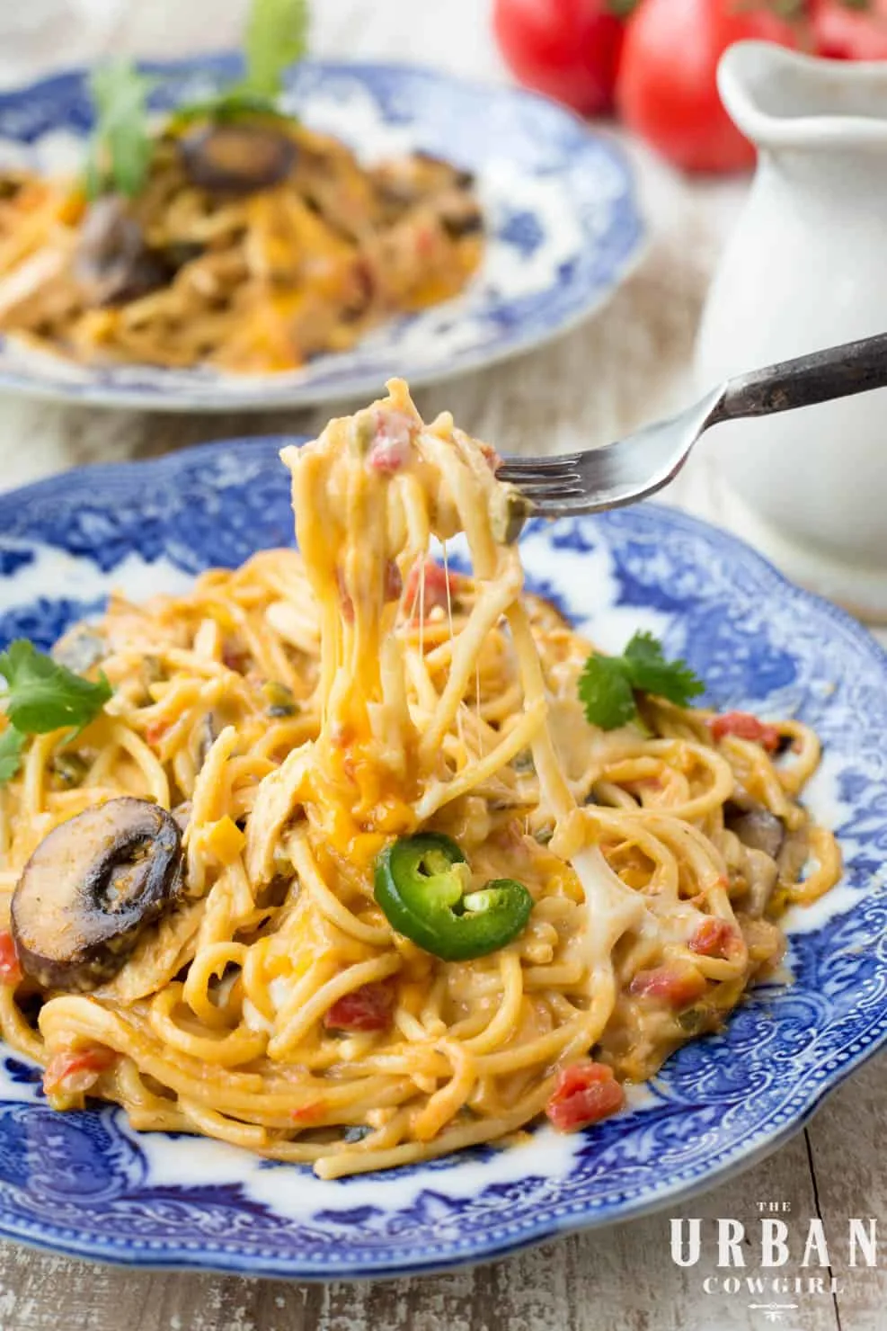 A delicious looking plate of cheesy chicken spaghetti with mushrooms, poblano peppers, and Rotel, in a creamy Velveeta sauce. 