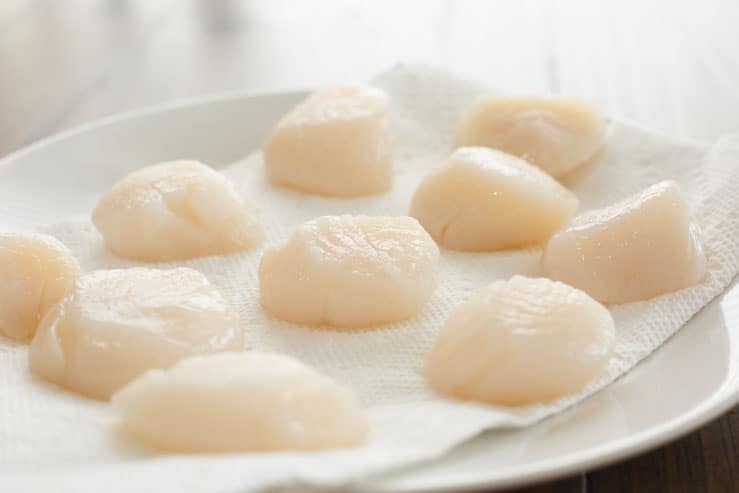 Sea Scallops on paper towels on a plate