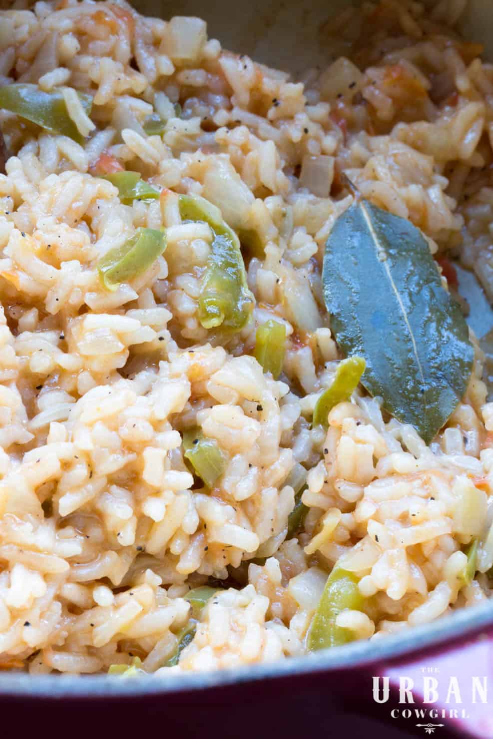 A close up of creamy mexican rice with a shiny bay leaf in the sun.