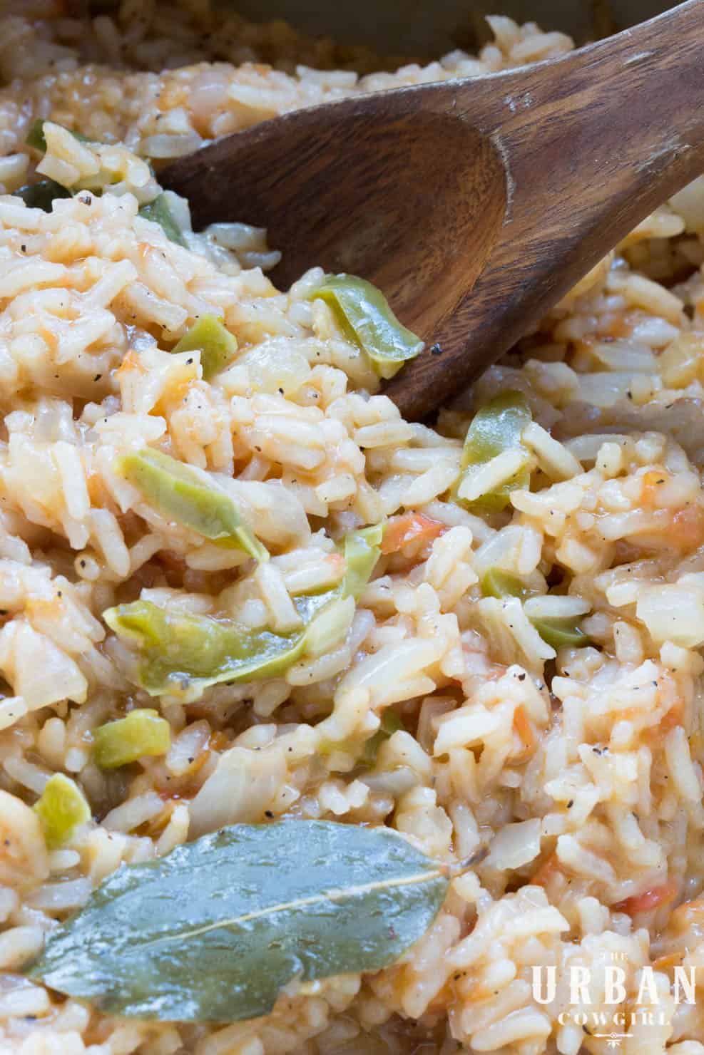 A close up spoon full of creamy restaurant style rice, with bell peppers and tomatoes, commonly found at tex mex and mexican restaurants