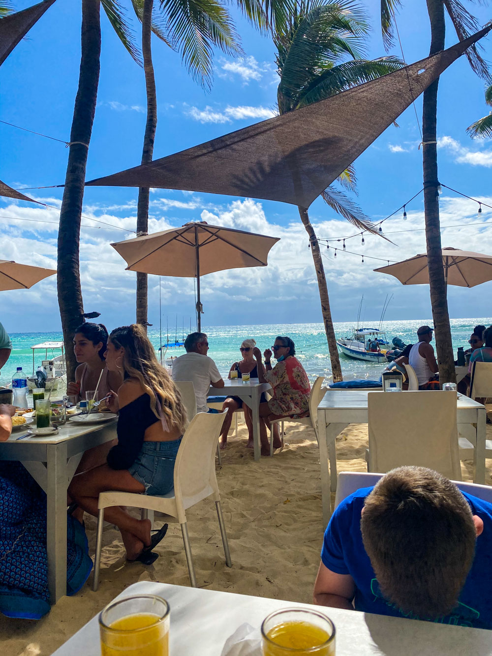 Asi Beach Club in Playa Del Carmen, an outdoor restaurant situated on the beach under lush palm trees.