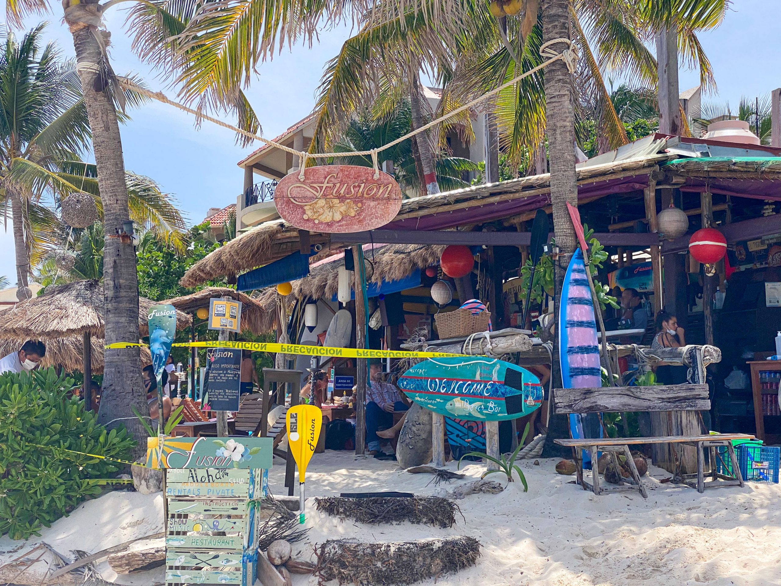 Fusion Beach Club exterior, underneath green palm trees on the beach.