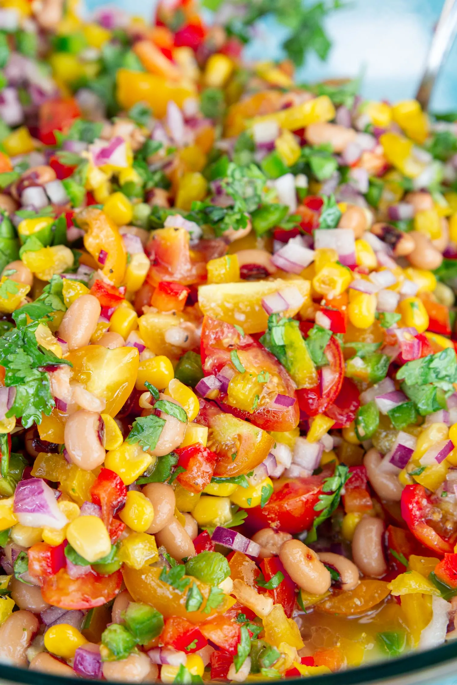 A tossed and marinated salad with red wine vinegar aka Texas Caviar