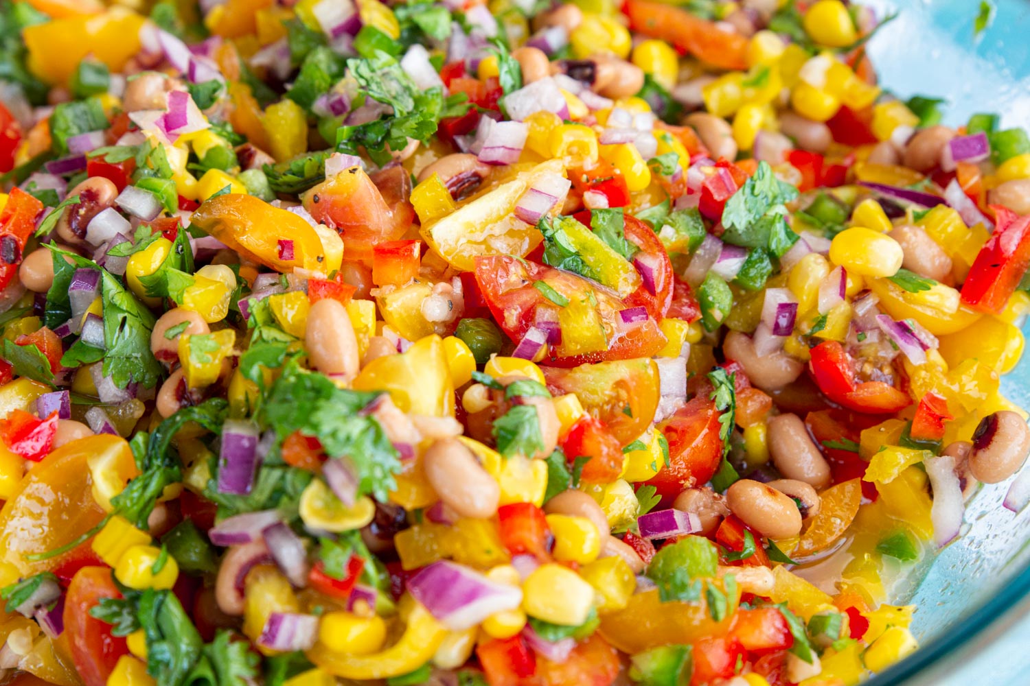 A colorful bowl of Texas Caviar with corn, bell peppers, red onion, tomatoes, cilantro, black eyed peas, and jalapenos, in red wine vinegar dressing.