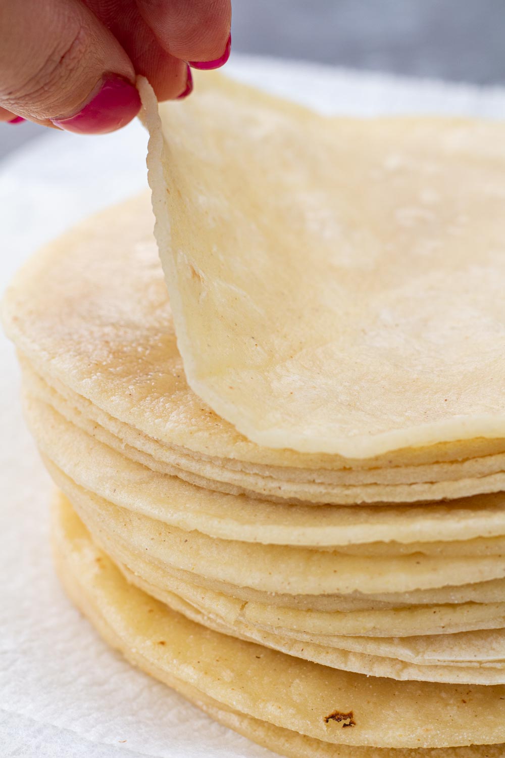 A stack of fried and softened corn tortillas on a paper towel.