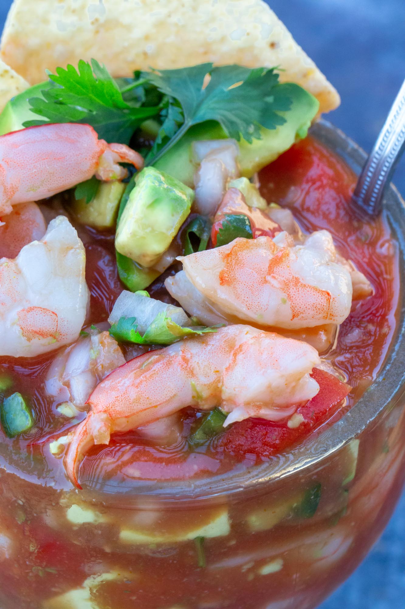 Mexican shrimp cocktail in a schooner glass up close