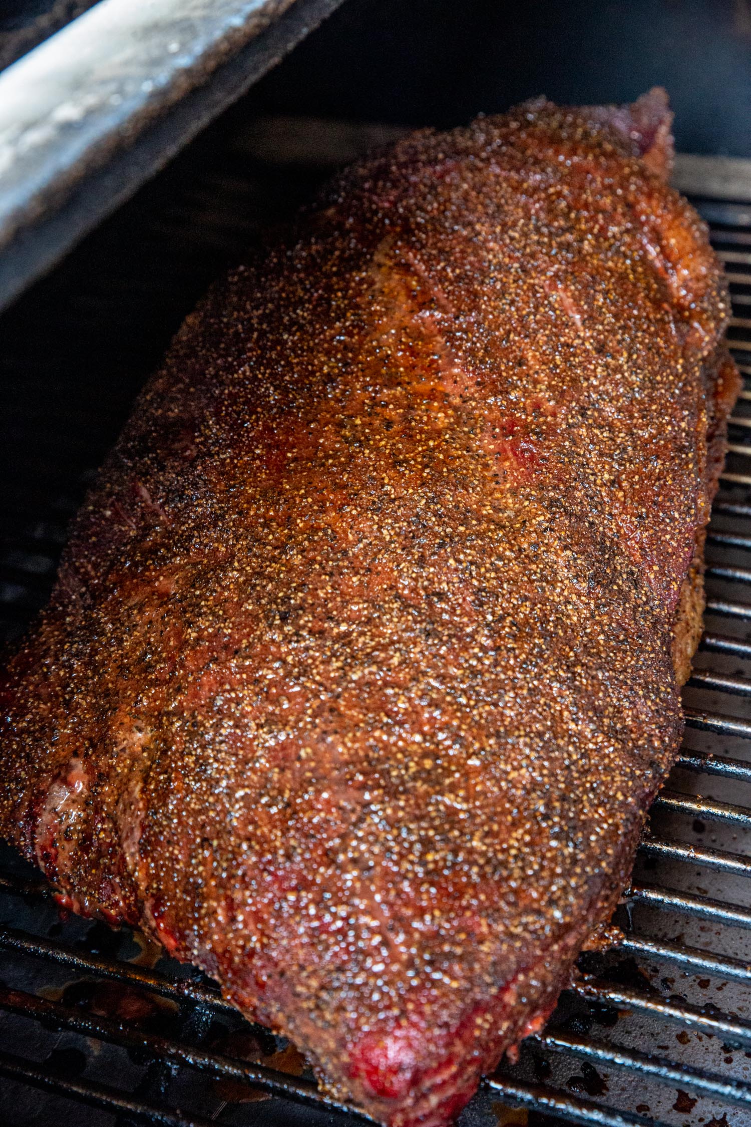 a brisket on the grates of a smoker