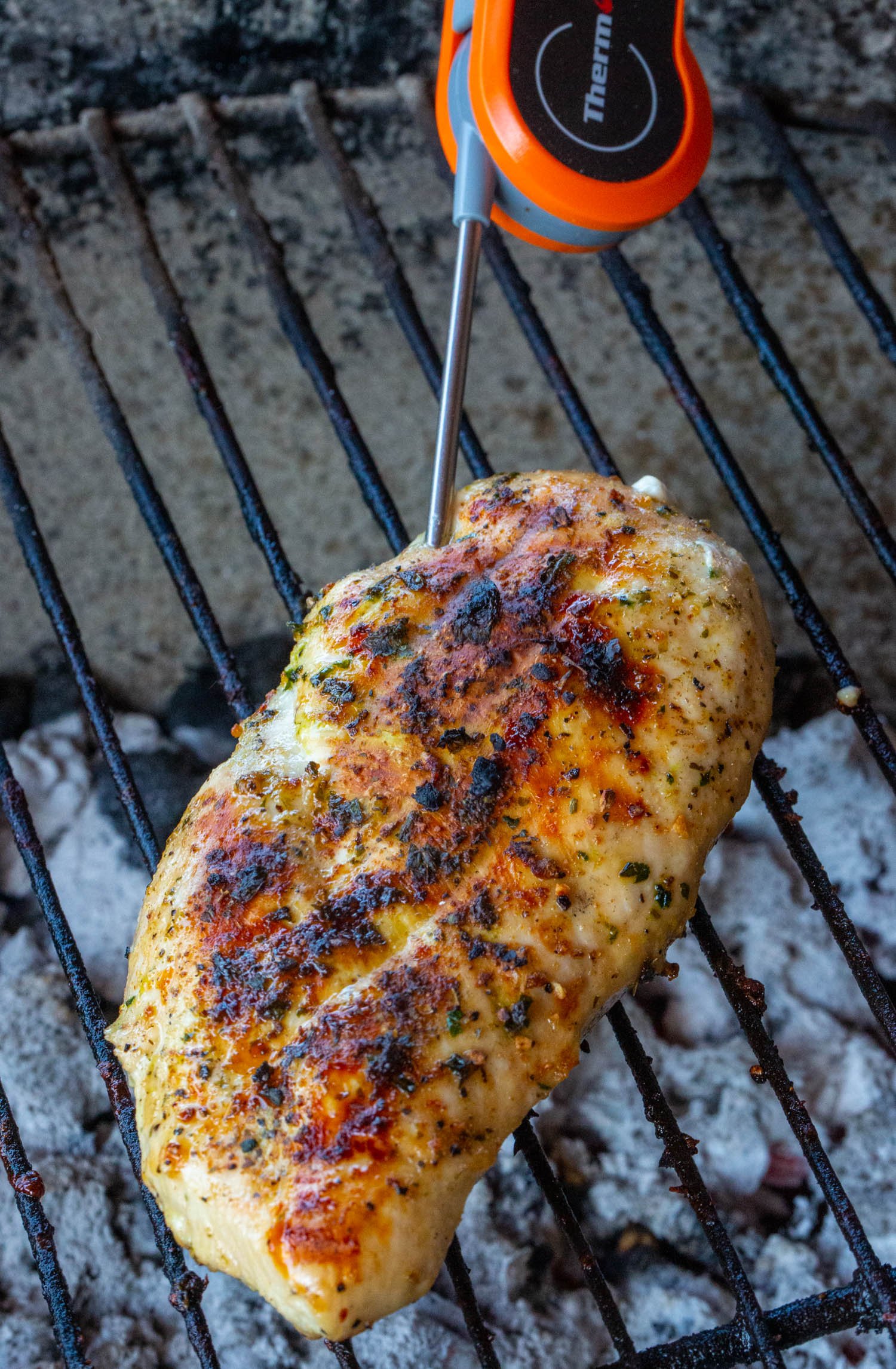 A grilled chicken breast with a meat thermometer inserted