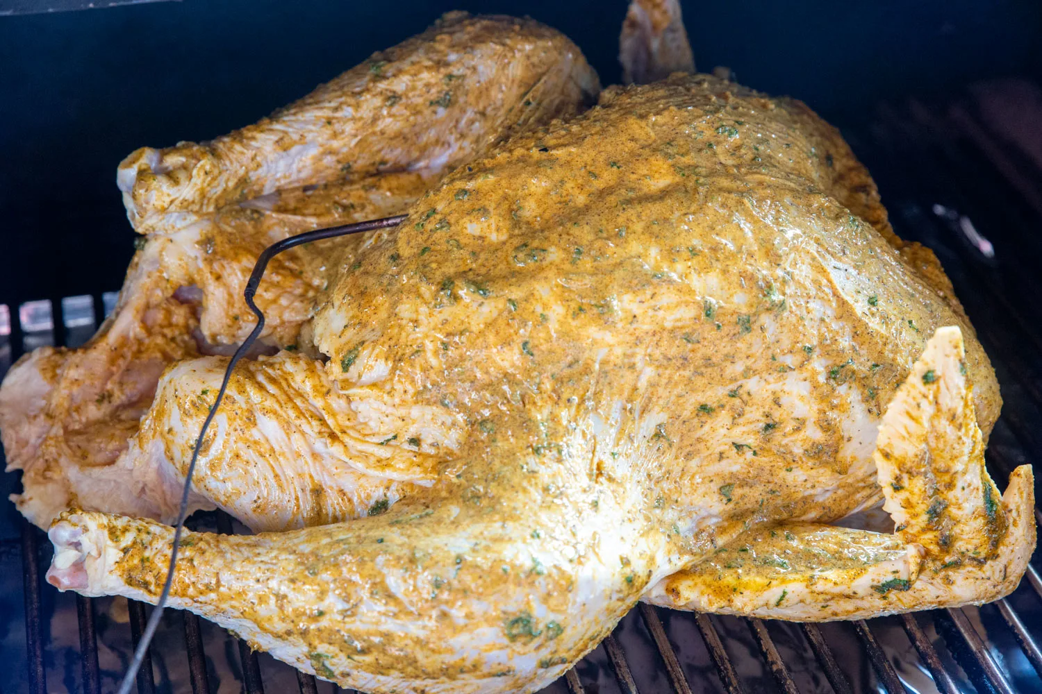 A turkey in a pellet grill probed with a thermometer