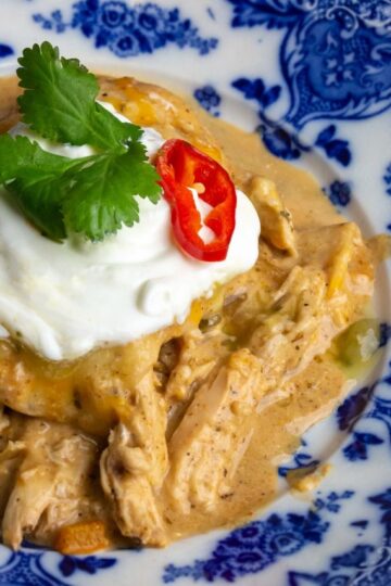 chicken fajita