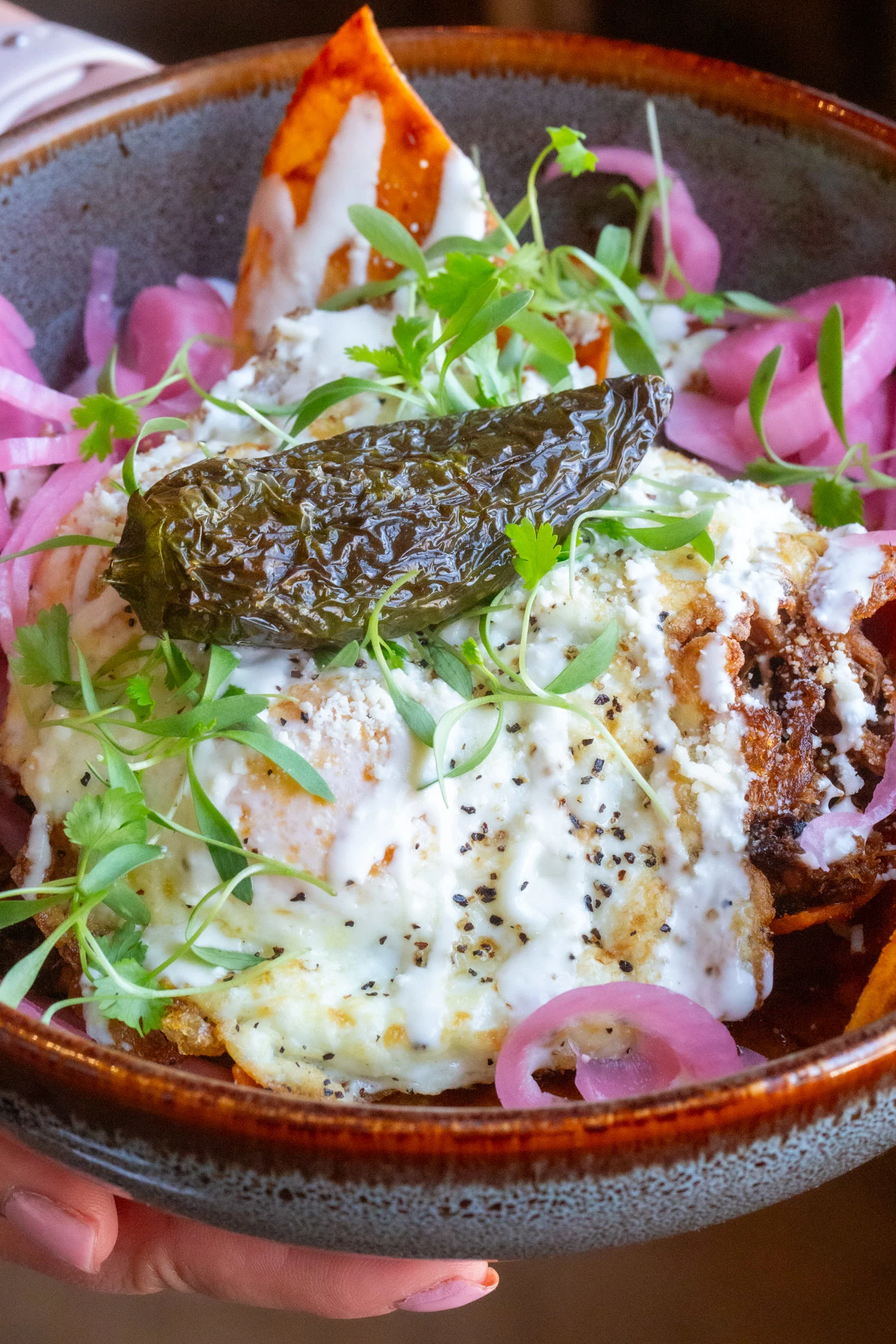 A large bowl filled with chilaquiles, topped with crema and cilantro.