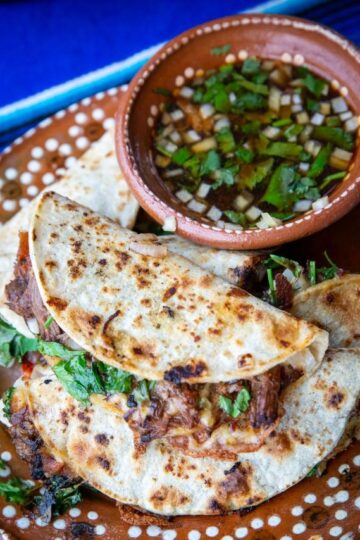 birria