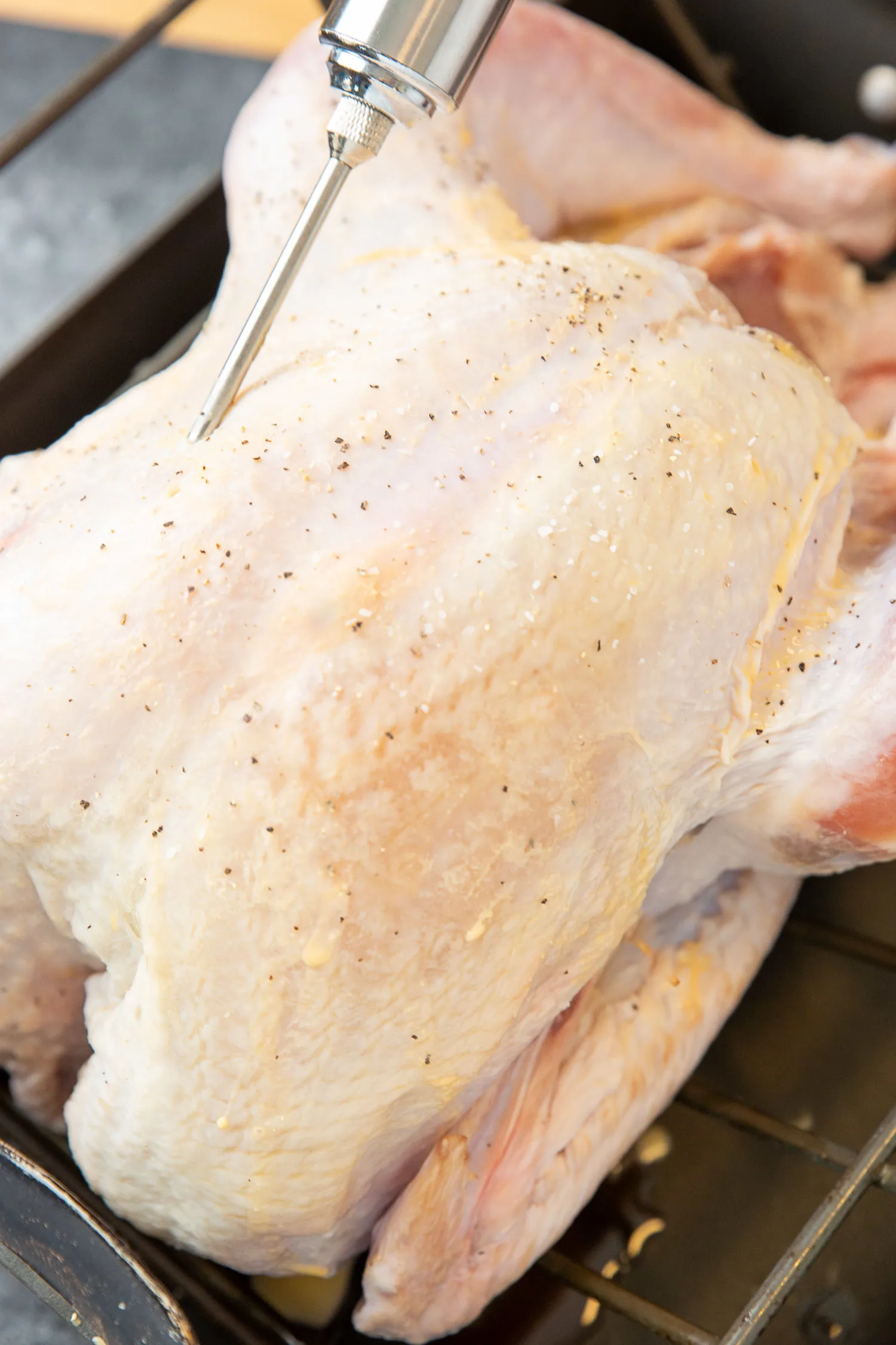 A whole turkey being injected with marinade.