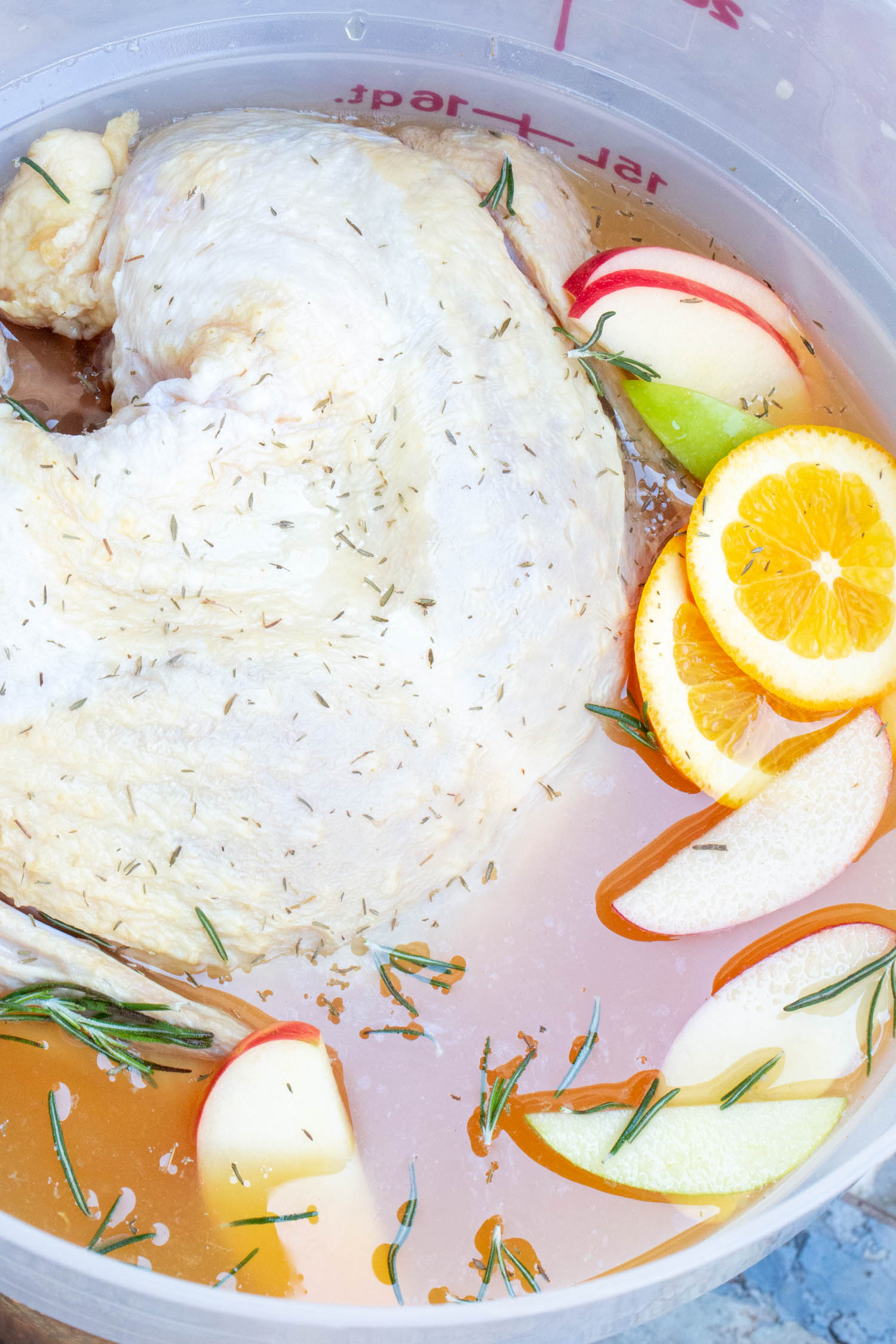 a fresh turkey inside an apple cider brine
